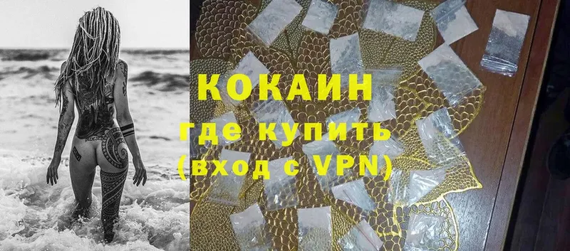 COCAIN Fish Scale Кольчугино